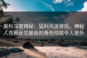 黑料深度揭秘：猛料风波背后，神秘人在粉丝见面会的角色彻底令人意外