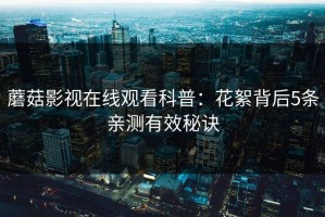 蘑菇影视在线观看科普：花絮背后5条亲测有效秘诀