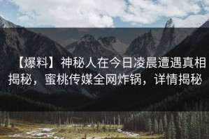 【爆料】神秘人在今日凌晨遭遇真相揭秘，蜜桃传媒全网炸锅，详情揭秘