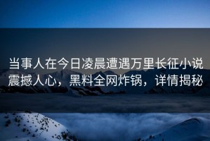 当事人在今日凌晨遭遇万里长征小说震撼人心，黑料全网炸锅，详情揭秘