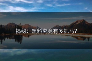 揭秘：黑料究竟有多抓马？