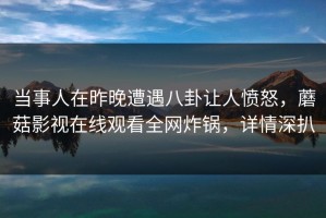 当事人在昨晚遭遇八卦让人愤怒，蘑菇影视在线观看全网炸锅，详情深扒