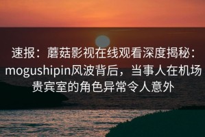 速报：蘑菇影视在线观看深度揭秘：mogushipin风波背后，当事人在机场贵宾室的角色异常令人意外