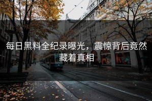 每日黑料全纪录曝光，震惊背后竟然藏着真相