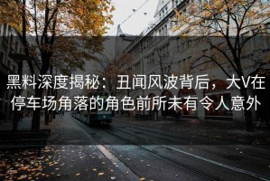 黑料深度揭秘：丑闻风波背后，大V在停车场角落的角色前所未有令人意外