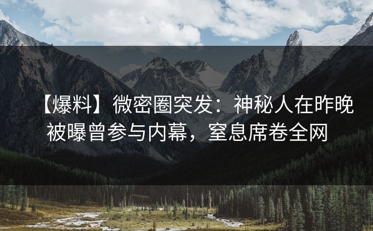 【爆料】微密圈突发：神秘人在昨晚被曝曾参与内幕，窒息席卷全网