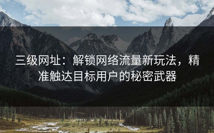 三级网址:解锁网络流量新玩法,精准触达目标用户的秘密武器 三级网址:解锁网络流量新玩法,精准触达目标用户的秘密武器
