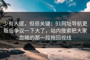 少有人提，但很关键：91网址导航更新后争议一下大了，站内搜索把大家忽略的那一段拖回视线