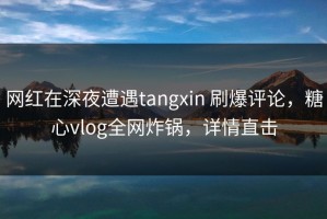 网红在深夜遭遇tangxin 刷爆评论，糖心vlog全网炸锅，详情直击