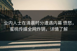 业内人士在清晨时分遭遇内幕 愤怒，蜜桃传媒全网炸锅，详情了解
