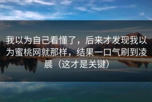 我以为自己看懂了，后来才发现我以为蜜桃网就那样，结果一口气刷到凌晨（这才是关键）