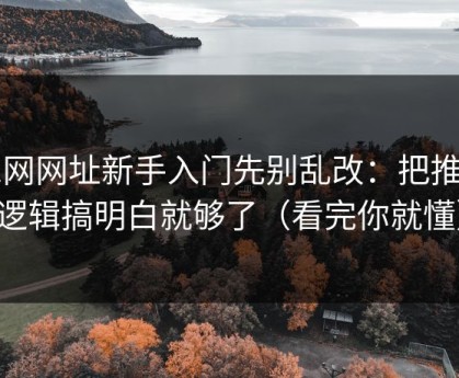 51网网址新手入门先别乱改：把推荐逻辑搞明白就够了（看完你就懂）