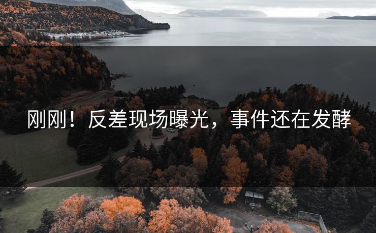 刚刚！反差现场曝光，事件还在发酵