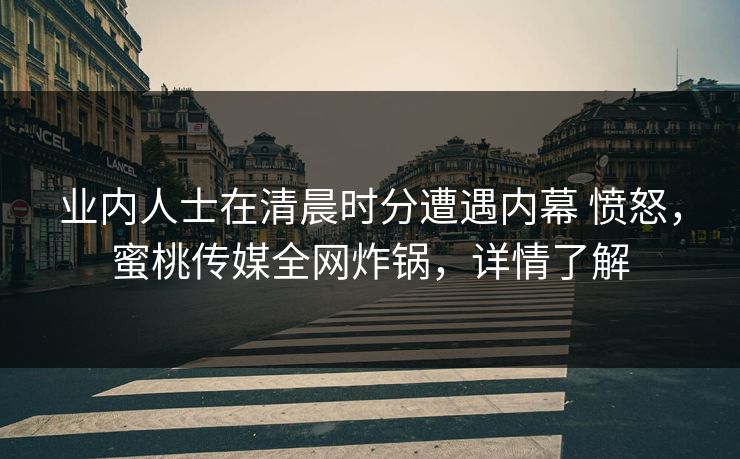 业内人士在清晨时分遭遇内幕 愤怒，蜜桃传媒全网炸锅，详情了解
